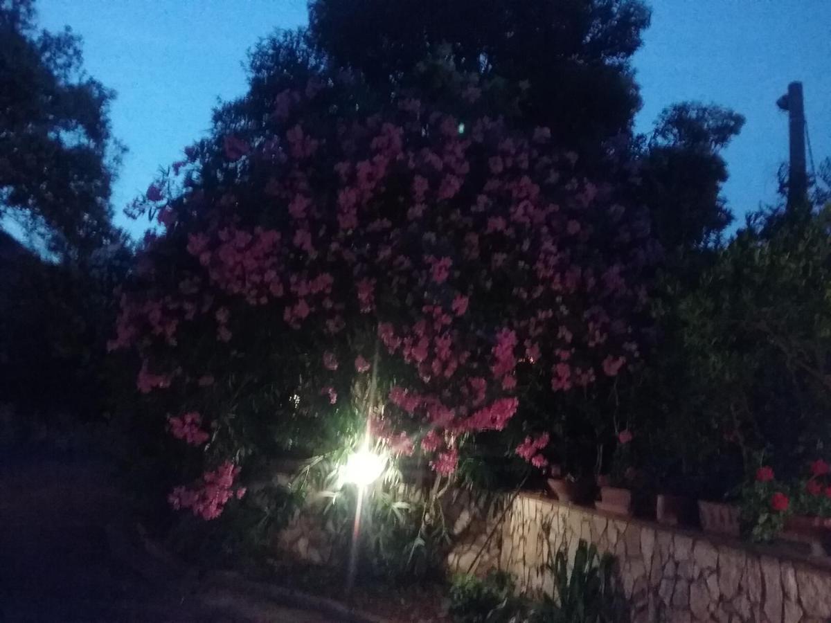 Apartment Nel Giardino Fiorito Salerno